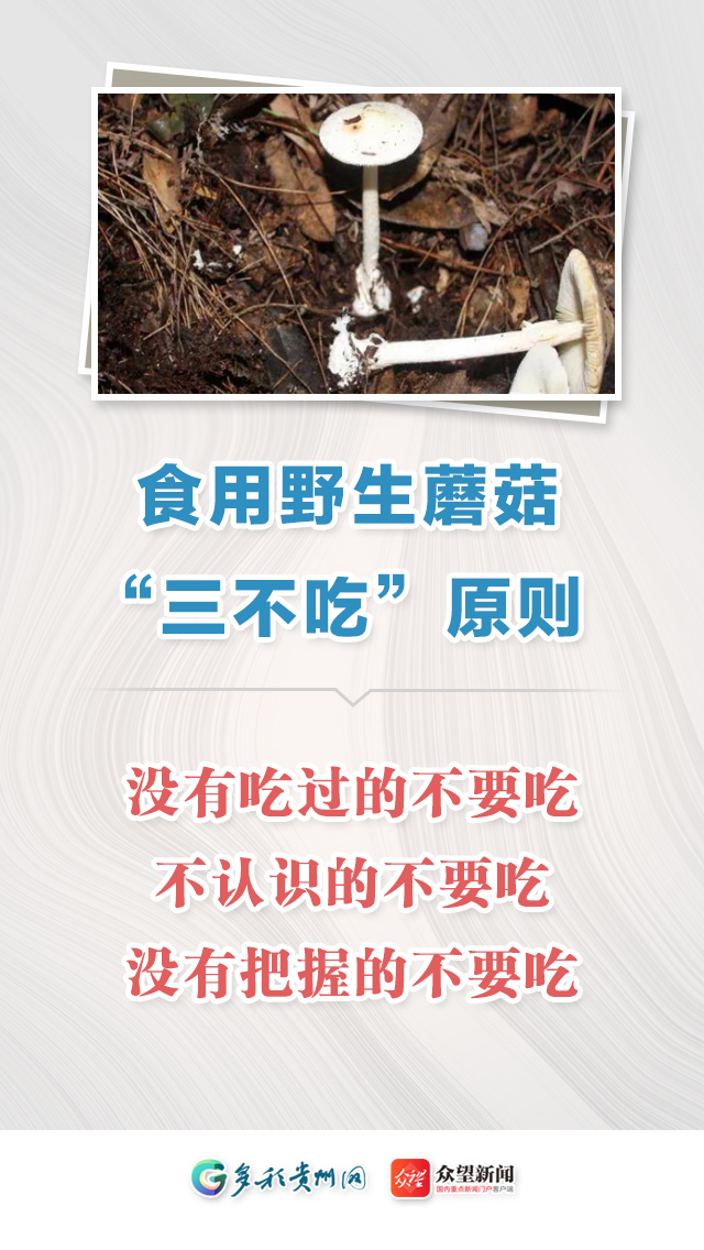 食用野生蘑菇,一定要"三不吃九注意"