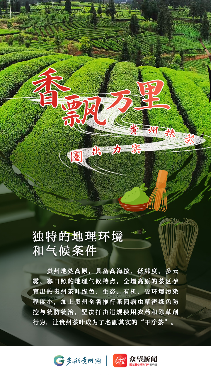 高质量发展看贵州贵州抹茶实力出圈香飘万里